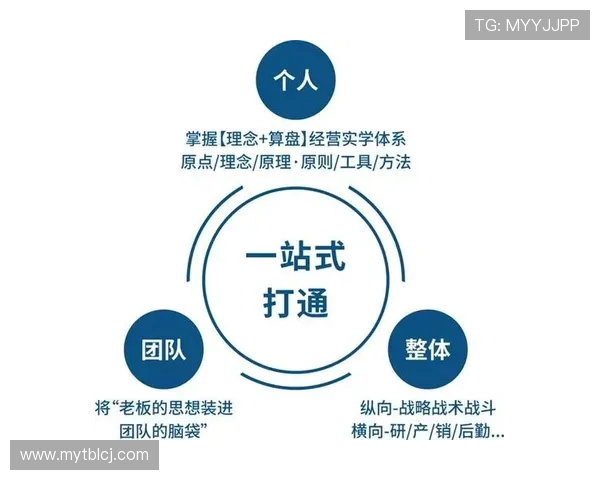 企业家成功背后的核心特点与思维模式解析：创新、决策力与风险管理的深度剖析